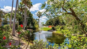 Un jardin paisible avec une fontaine, des palmiers et un bassin.