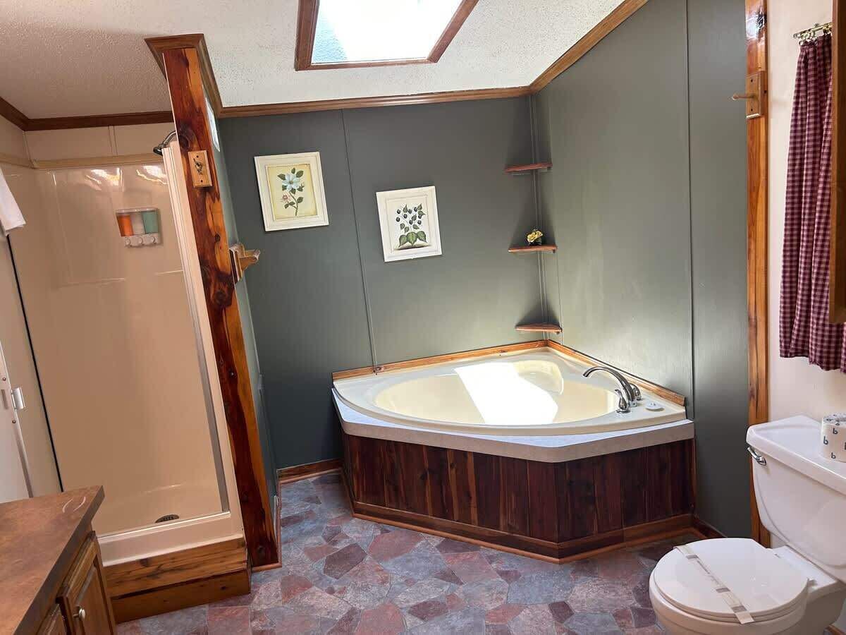 Combined shower/bathtub, hair dryer, towels, soap