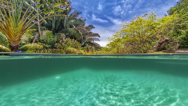 Une piscine aux eaux cristallines, entourée d’une végétation tropicale luxuriante.