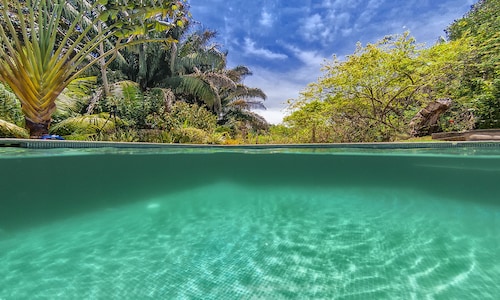 Casa Abuela - Spectacular Pool house with Rainforest View