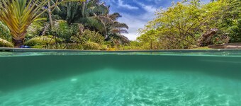 Casa Abuela - Spectacular Pool house with Rainforest View