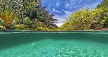 Casa Abuela - Spectacular Pool house with Rainforest View