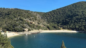 Plage à proximité, chaises longues, serviettes de plage