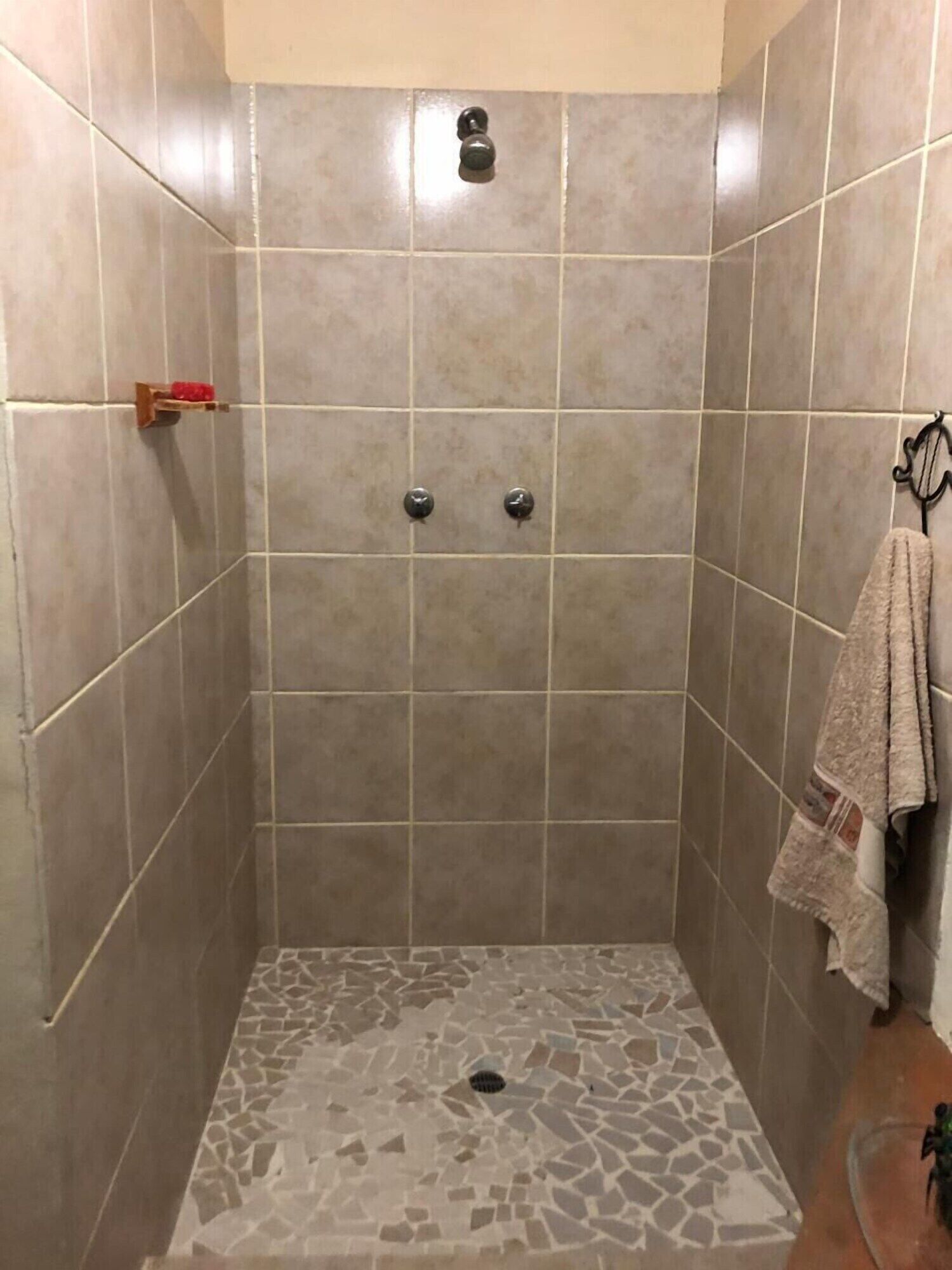 Ducha con paredes de azulejos y suelo de mosaico.