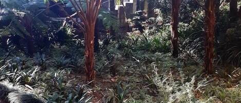 Jardines del alojamiento