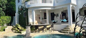 Pool Jacuzzi & Tropical Oasis Yard With Fruit Trees