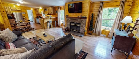 Smart TV, fireplace, DVD player, books