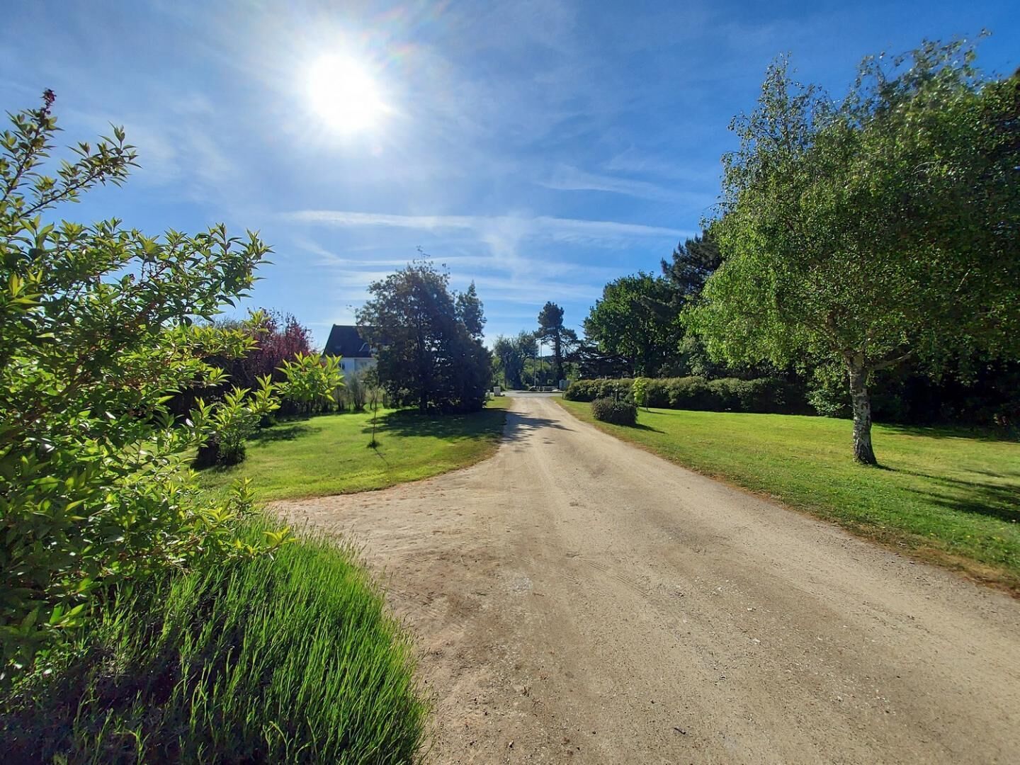 A rural road with a house in the distance, surrounded by greenery and trees.