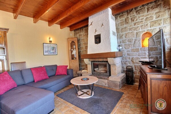 TV, fireplace, DVD player, books