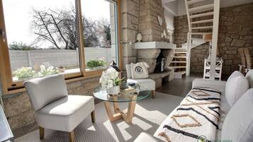 Télévision, cheminée, lecteur de DVD, chaßne hi-fi