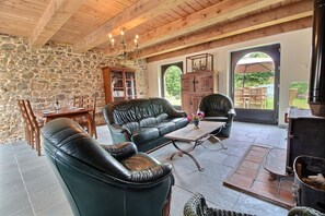 TV, fireplace, books