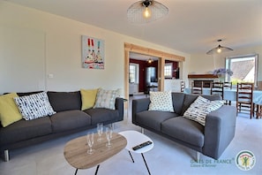 Télévision, cheminée, table de tennis de table, livres