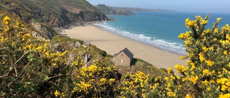 بالقرب من الشاطئ