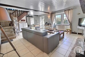 Télévision, cheminée, lecteur de DVD, livres