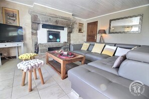 TV, fireplace, DVD player, books