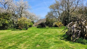 المنطقة المحيطة بالمنشأة