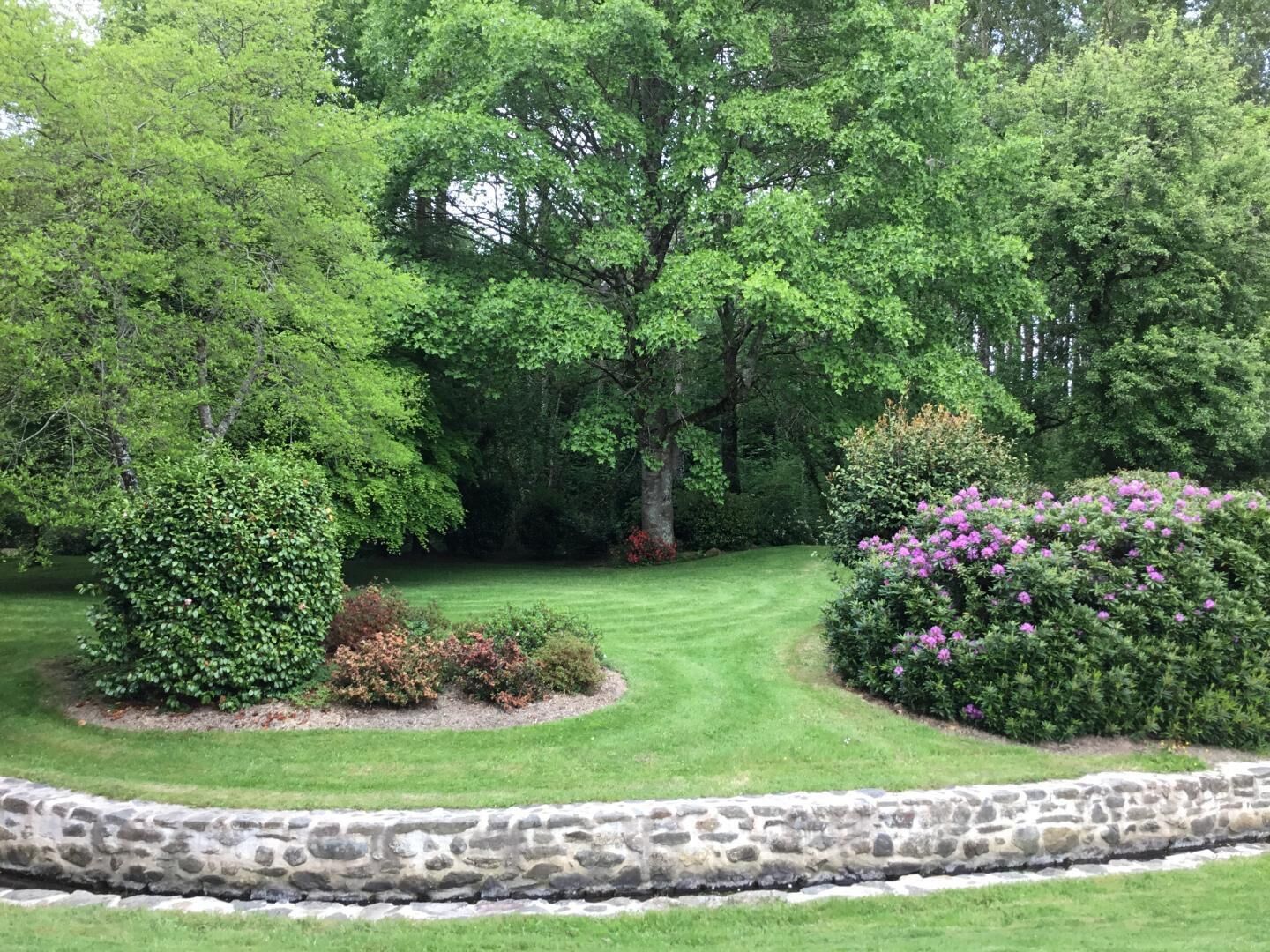 Um jardim bem cuidado com fronteira de pedra, vegetação exuberante e arbustos floridos.