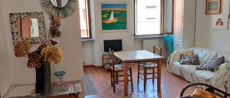 Televisión, reproductor de DVD, libros