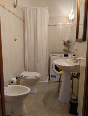 Shower, hair dryer, bidet, towels
