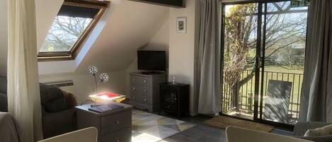 Älytelevisio, kirjoja