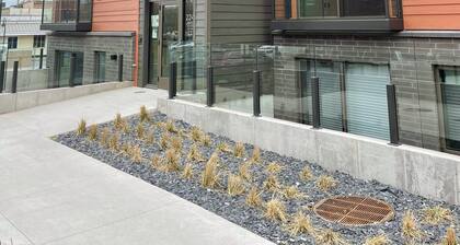 Modern State- Brand New Downtown TC Condo