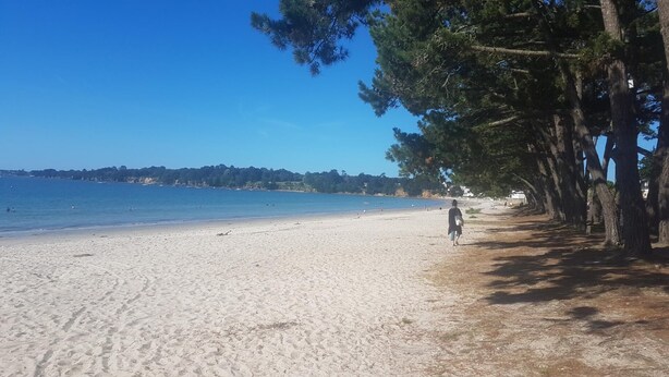 A beach with a clear sky, sandy shore, and a person walking. - Maison Neuve Proche mer Avec Piscine Chauffée (Fouesnant)