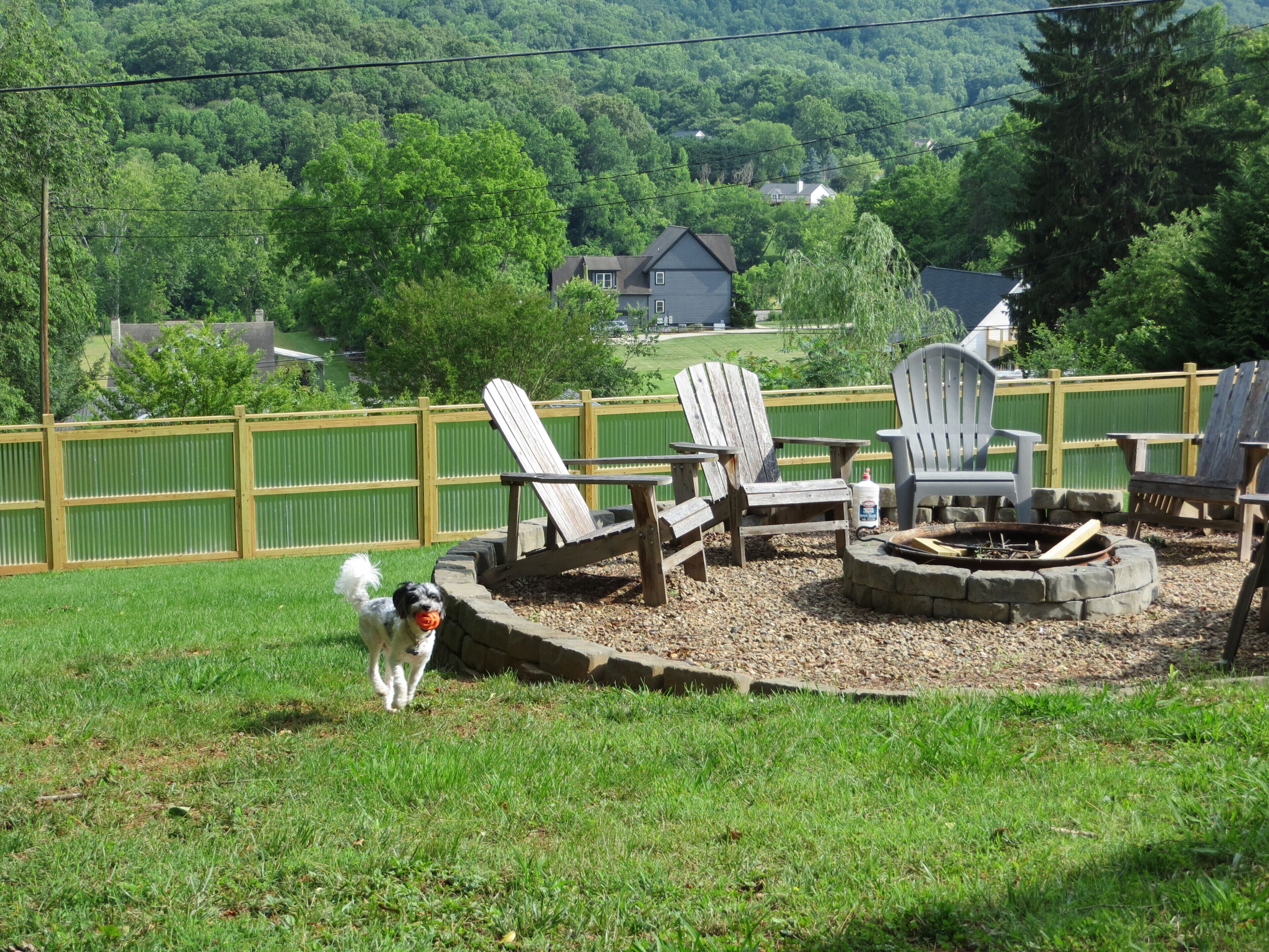 A backyard with a fire pit, Adirondack chairs, and a dog.