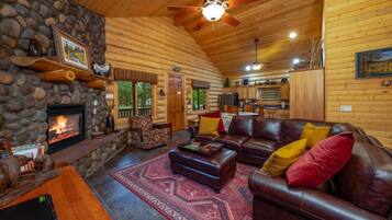 Télévision, cheminée, lecteur de DVD, livres