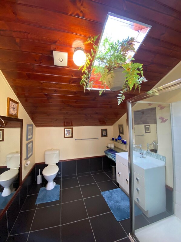 Bathroom - Beautiful and comfortable, located in the heart of town (TAWONGA SOUTH)