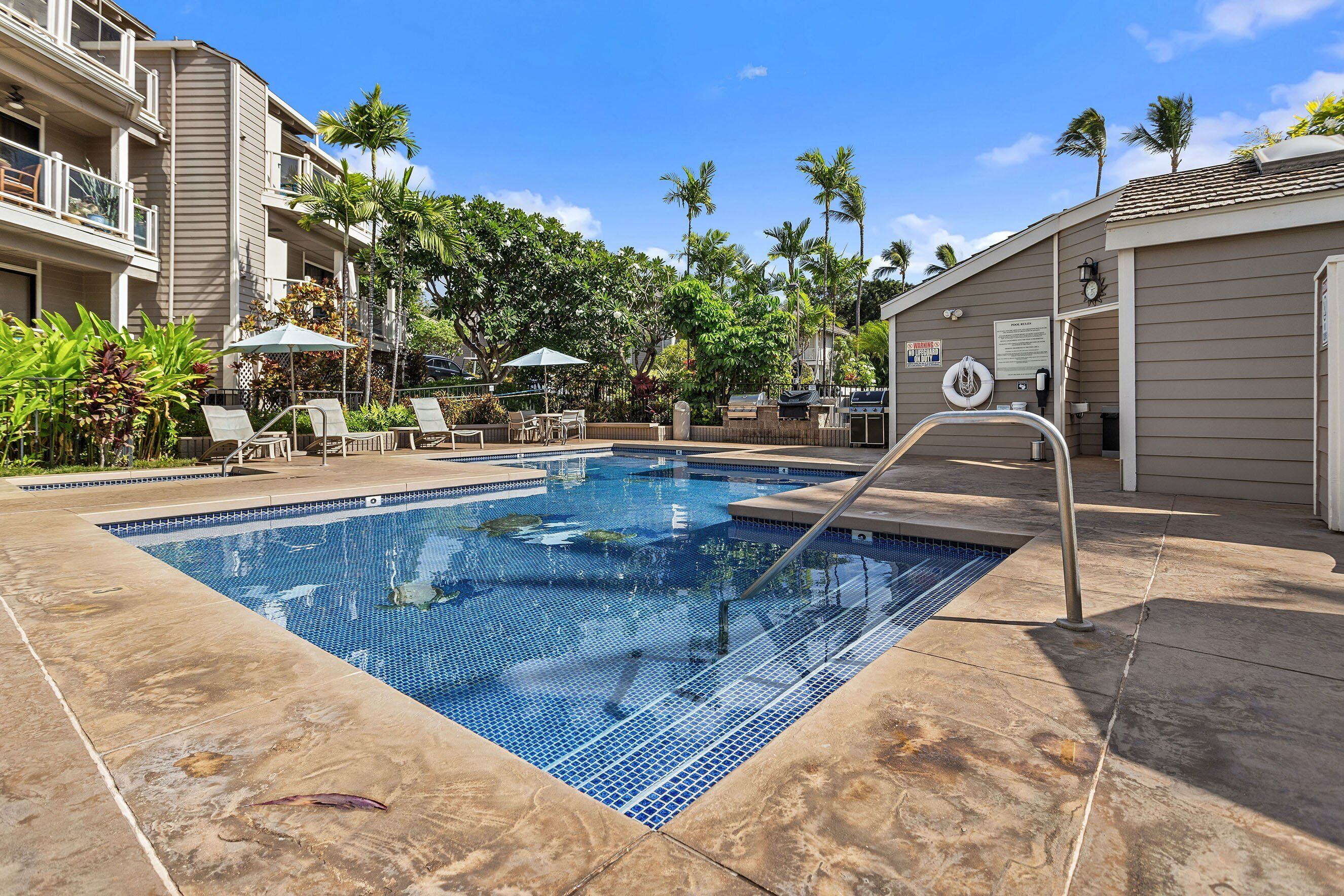A swimming pool with lounge chairs and umbrellas, surrounded by palm trees and a building with balconies.