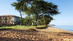 Enjoy stunning ocean views from the comfort of your beachfront hotel, surrounded by lush trees and access to the sandy beach.