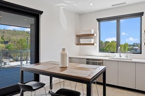 Interior - Luxury Pet Friendly Condo, Downtown Asheville with Heated Balcony (Asheville)