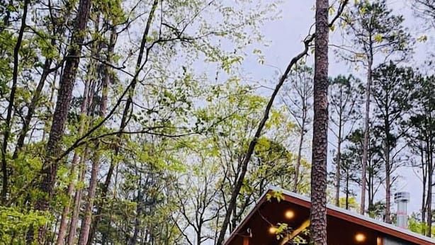 A wooden cabin with a porch, surrounded by trees and a gravel path. - Romantic Splash Brand New 1 Bedroom Efficiency Cabin, near Broken Bow Lake (Broken Bow)