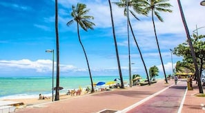 A beach with palm trees, a clear blue sky, and a pathway along the water.