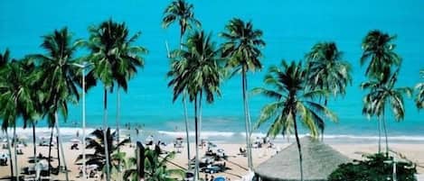 Bar de playa