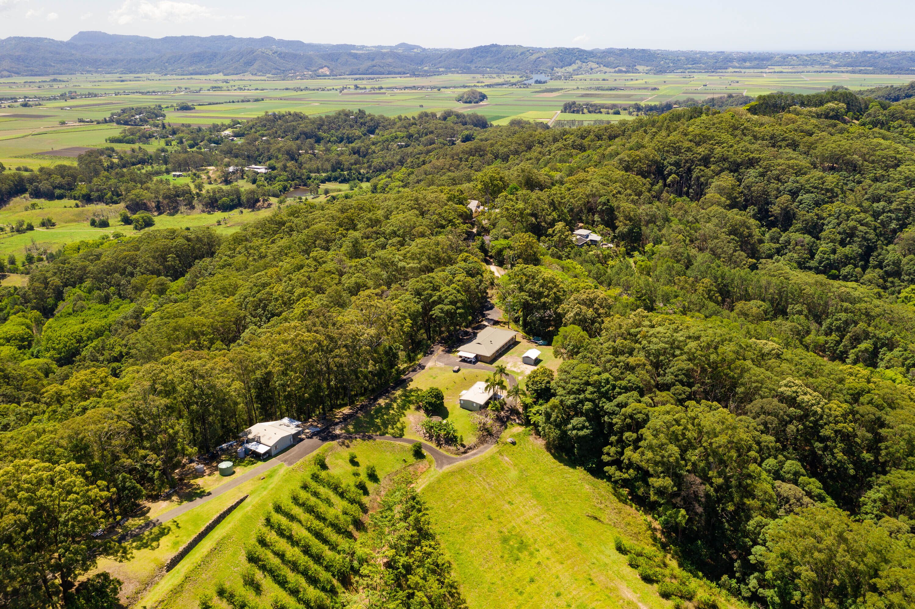An aerial view of a rural property with multiple buildings, surrounded by dense forest and open fields.