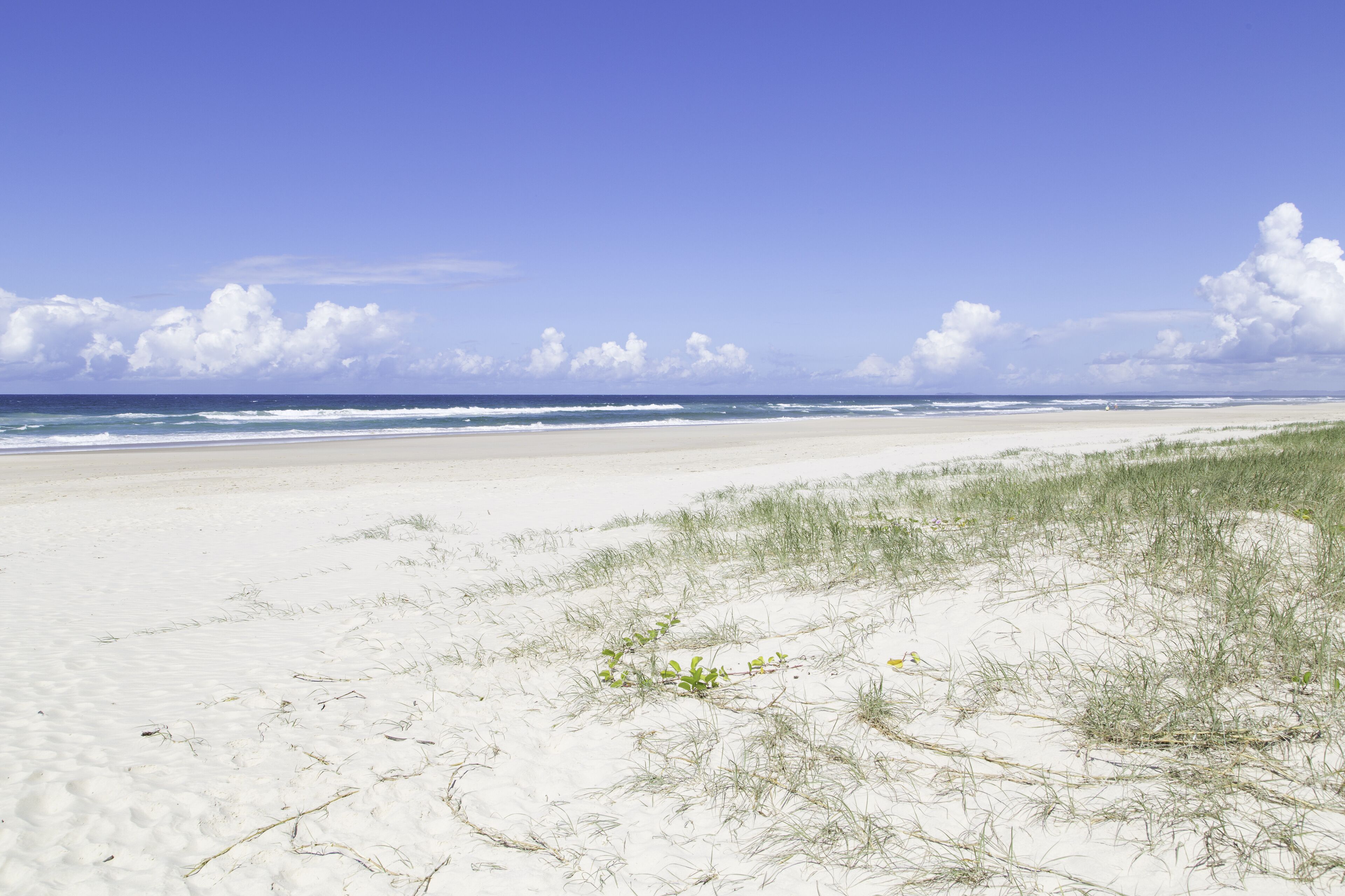 A beach with white sand and sparse vegetation.