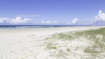 A beach with white sand and sparse vegetation.