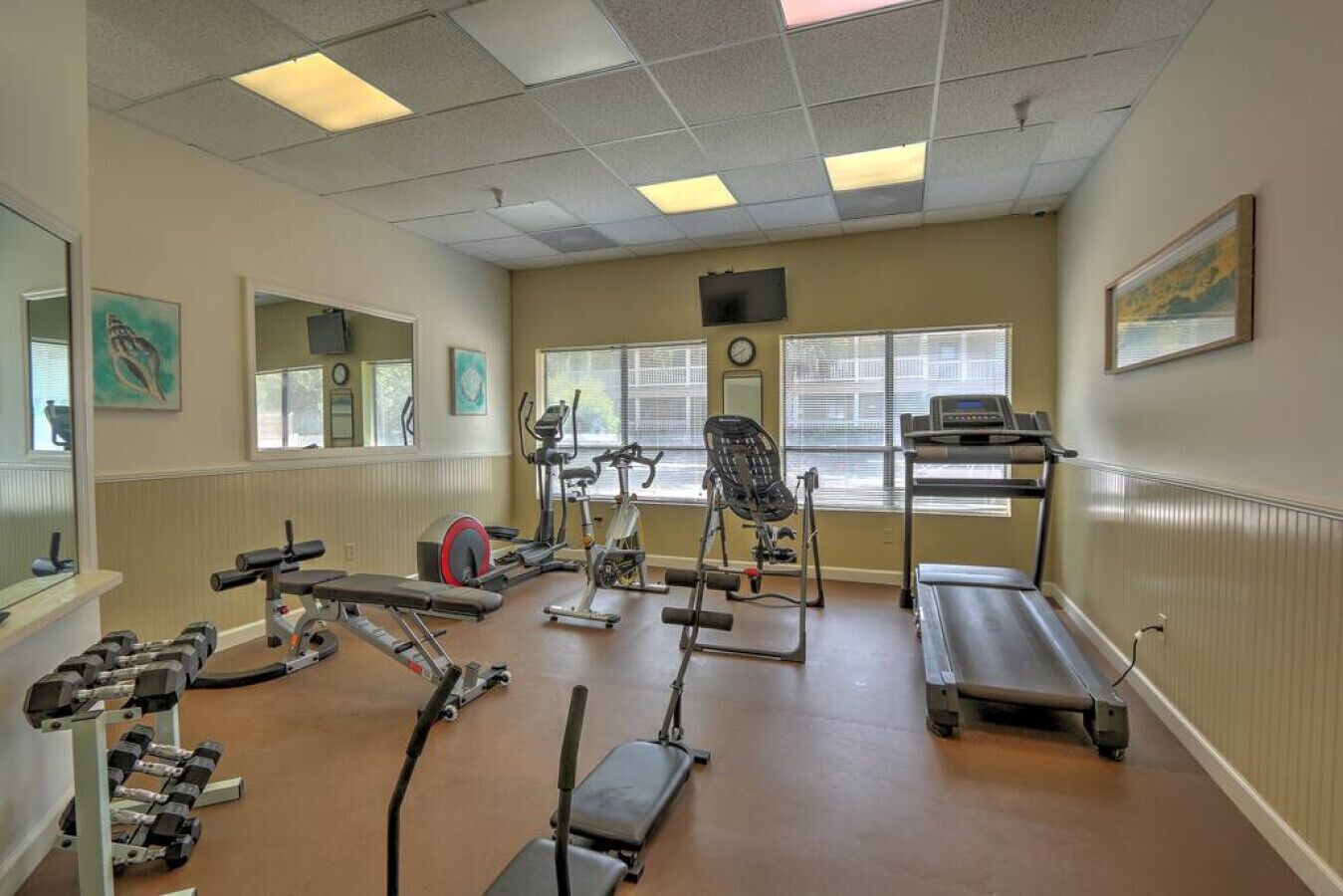 Una palestra con macchinari cardio, pesi liberi e uno specchio a parete.
