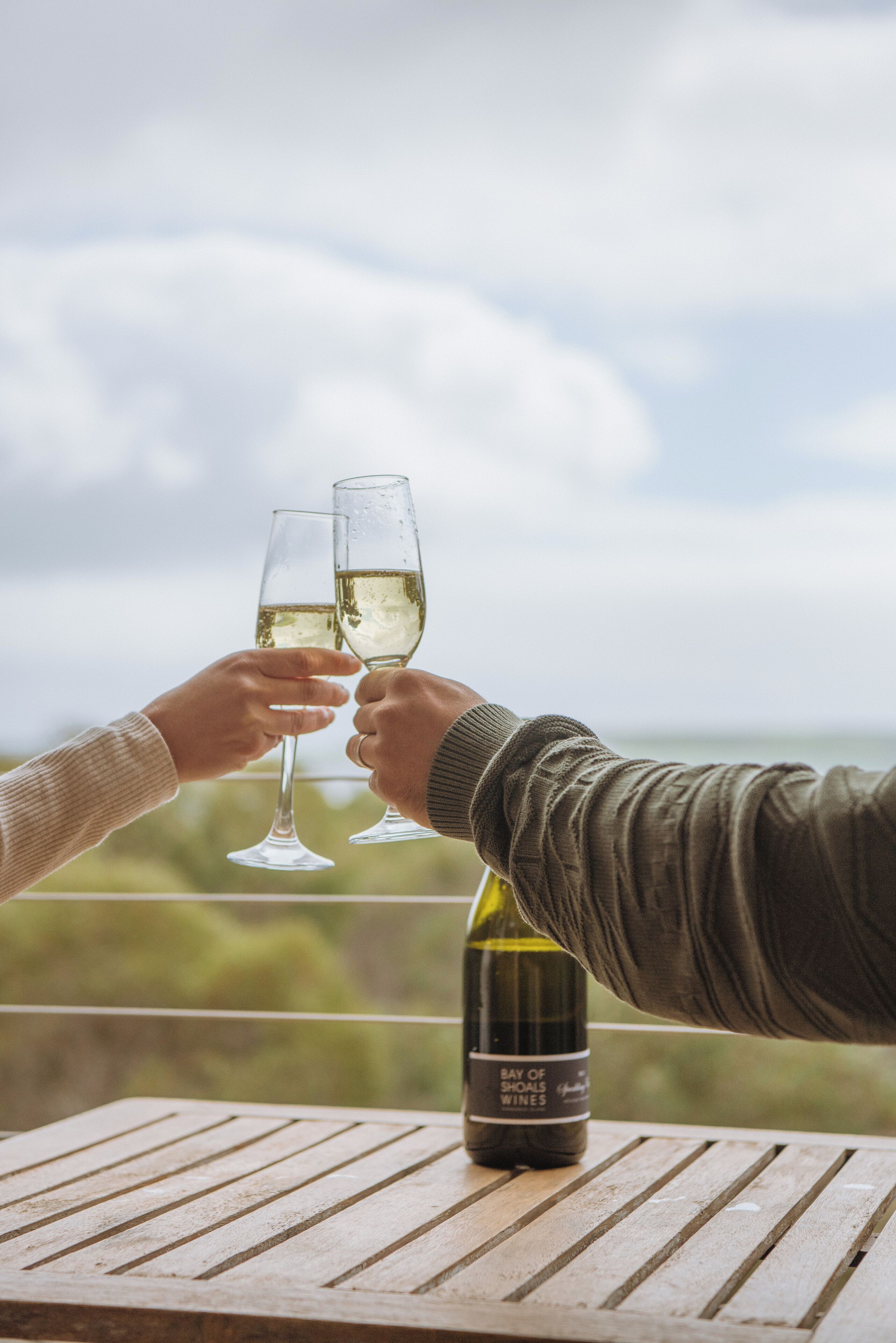 Dos personas brindando con copas de vino, una botella sobre la mesa y una vista panorámica al fondo.