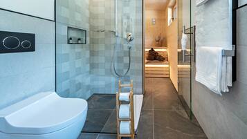 Shower, hair dryer, towels