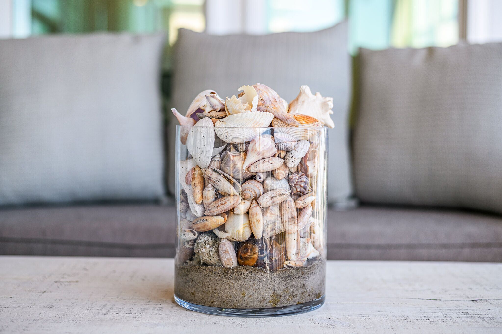 A glass container filled with various seashells and sand, placed on a wooden surface.