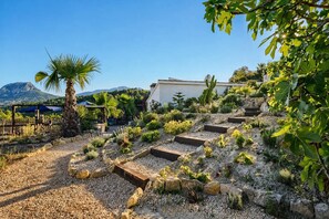 A landscaped garden with a palm tree, cacti, and a building in the background.