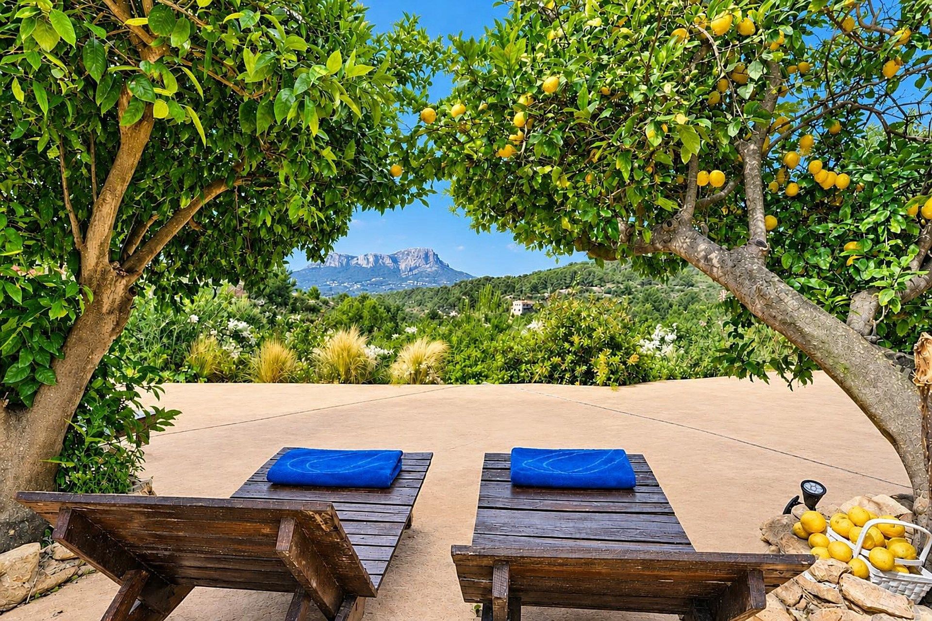 Two wooden lounge chairs with blue cushions, a basket of lemons, and a view of a mountain range.
