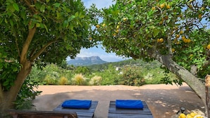 A wooden deck with two benches, a basket of lemons, and a view of mountains.