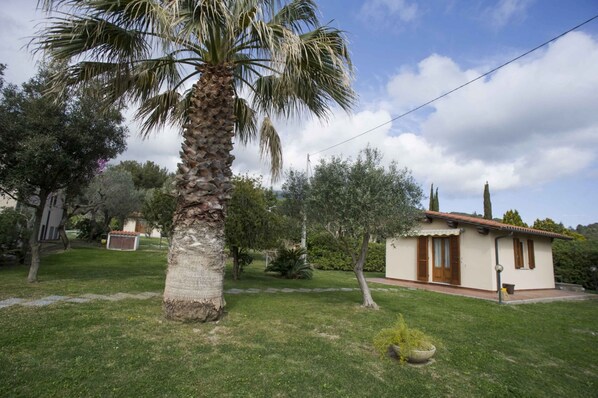 Property grounds - LE TARTARUGHE - MONO LE TARTARUGHE 2 (Campo nell'Elba)