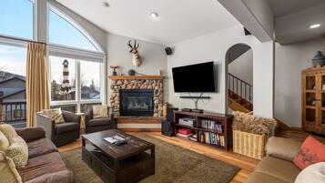 TV, fireplace, DVD player, books