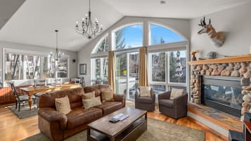 Televisie, een open haard, een dvd-speler en boeken