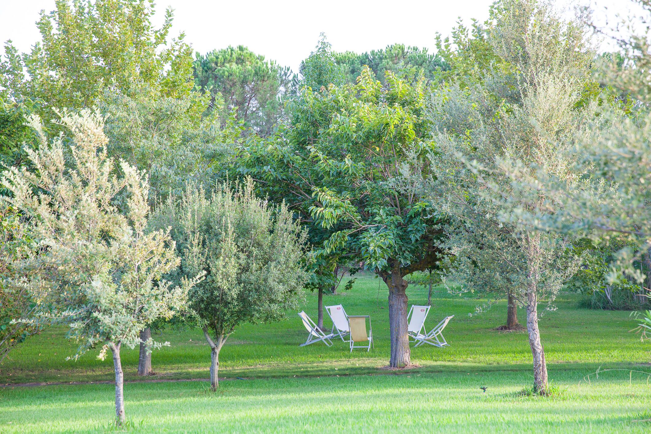 Jardines del alojamiento