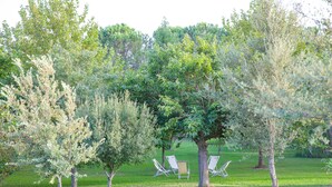 A grassy area with trees and two white lounge chairs. - Holiday home "Da Maria Maddalena" n ° 1  (Sardegna)